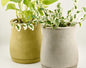 Natural Satin Concrete Flower Pot, Planter w/ Tray